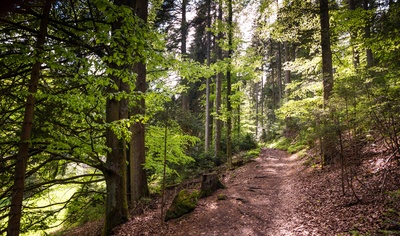 692636_web_R_K_B_by_Rainer Sturm_pixelio.de